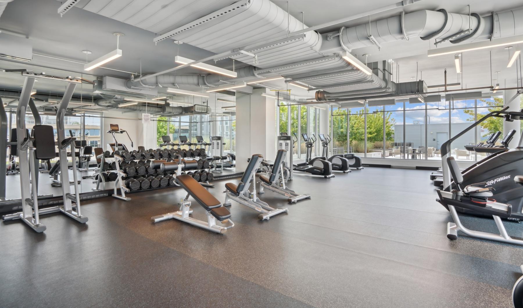 Get your workout on a gym with exercise equipment